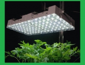 Sử dụng đèn LED tiết kiệm điện như thế nào